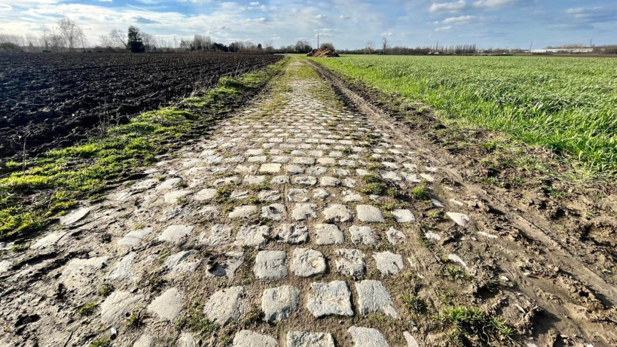 Uno de los tramos de la Paris Roubaix