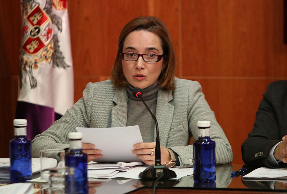 El pleno de Alhaurín el Grande no puede votar la moción de censura contra Antonia Ledesma por las discrepancias en la formación de la mesa de edad