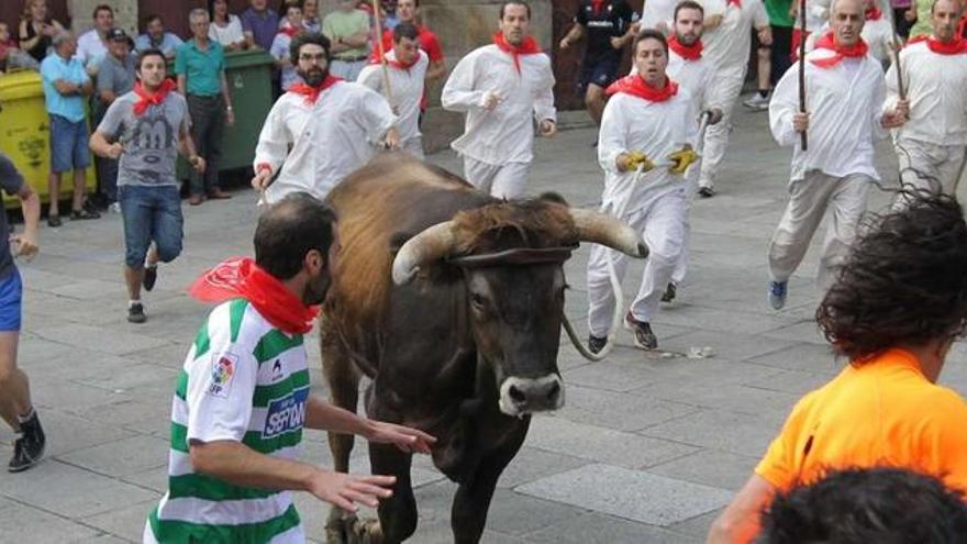 &quot;Maratón do Boi&quot;, ayer, por las calles de la zona vieja de Allariz.