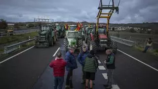 Los ganaderos desbloquean por completo la A-52, pero las protestas seguirán