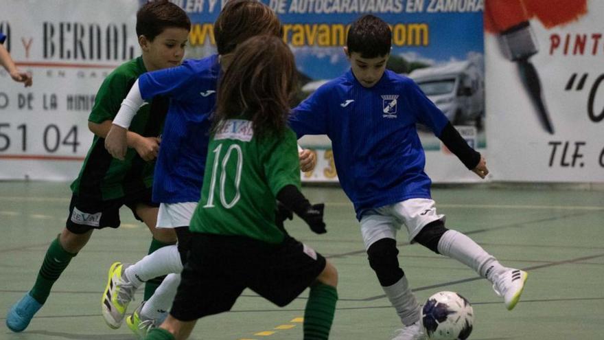 San Lorenzo y Pinilla jugarán la final Prebenjamín