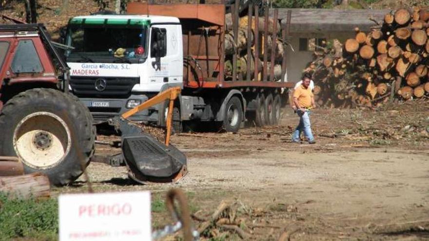 Un camión de la empresa García Rocha carga la madera de la tala en el parque del sanatorio. / la opinión