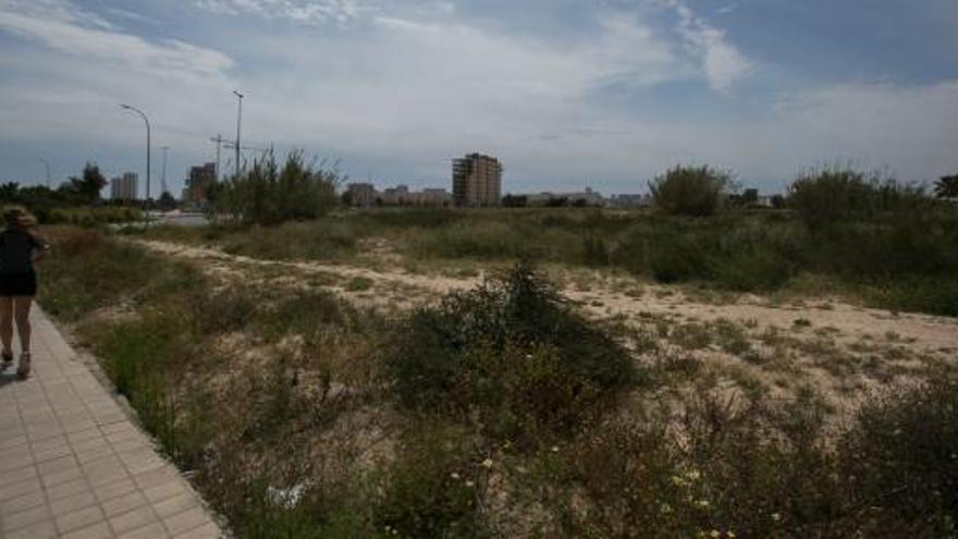 La parcela que el Consistorio tenía preparada para el colegio concertado en la playa de San Juan no se cede finalmente