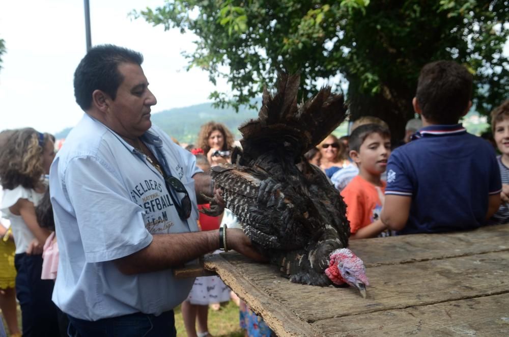 Meaño honra a San Benito // Noe Parga