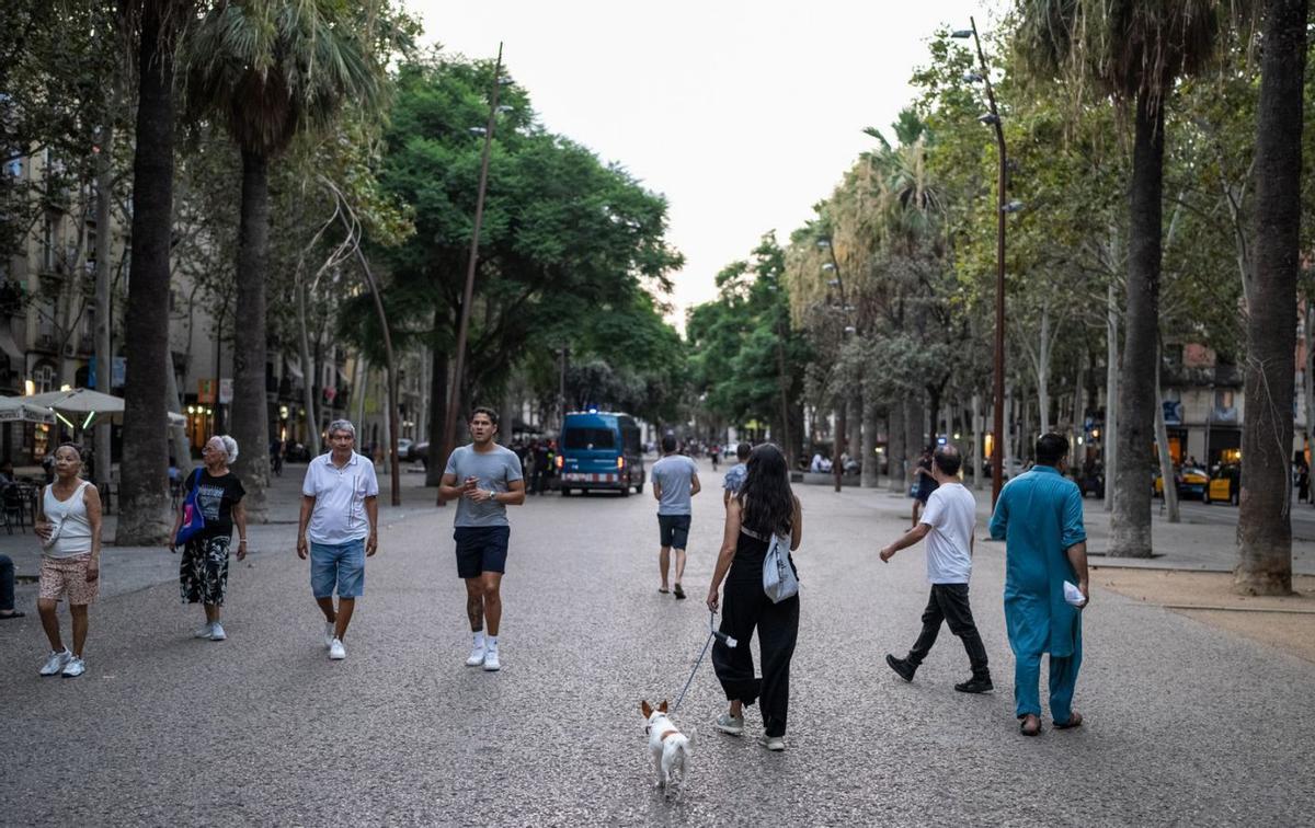 La rambla del Raval destaca en els pressupostos participatius La rambla del Raval destaca en els pressupostos participatius