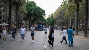 La rambla del Raval destaca en els pressupostos participatius