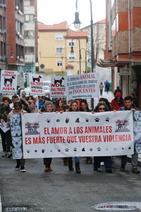 Manifestación contra el maltrato animal