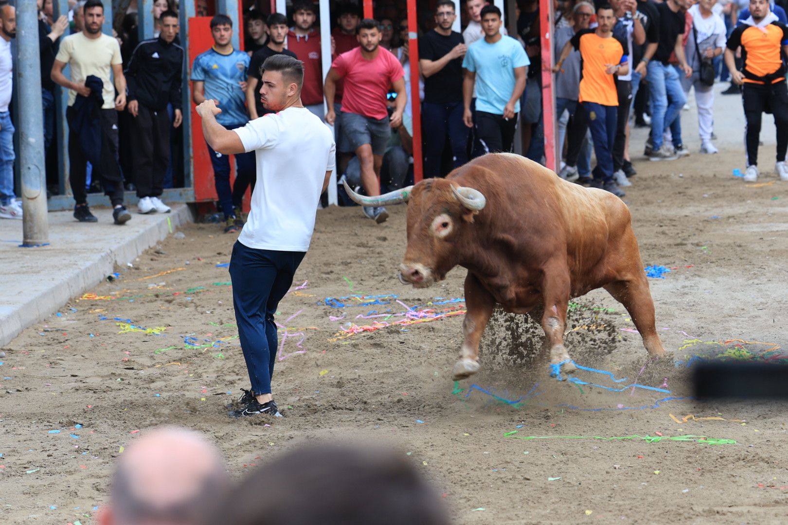 Fotos de la tarde taurina del jueves de las fiestas de Sant Pasqual en Vila-real