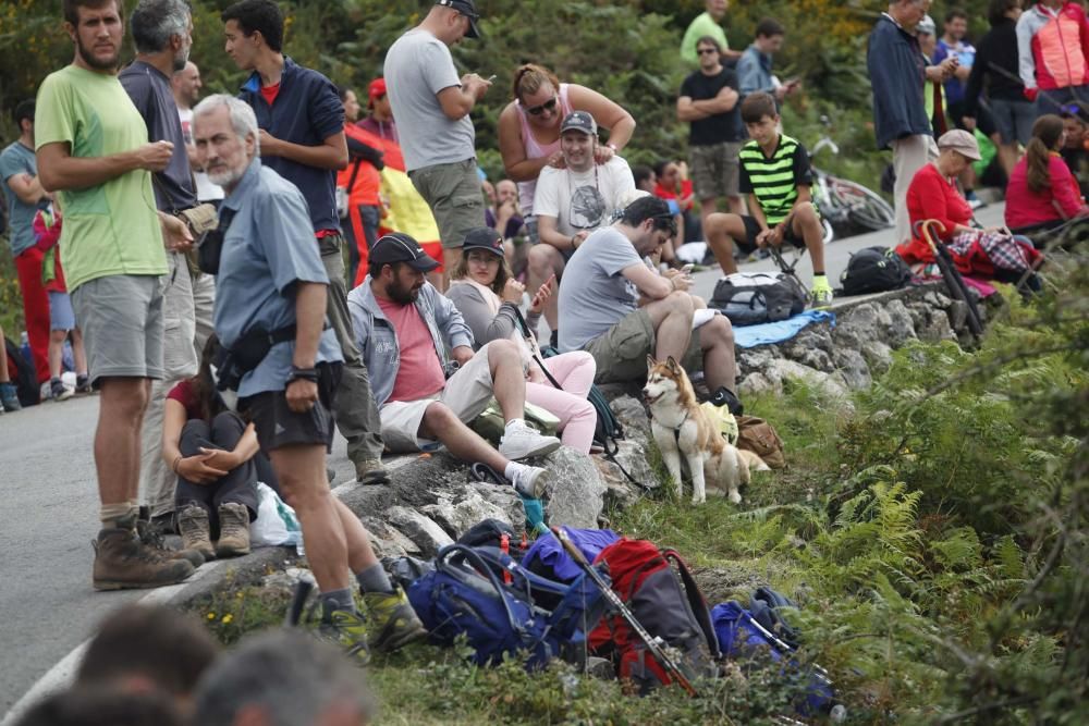 Vuelta ciclista a España. Lagos de Covadonga