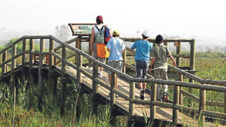 Un grupo de visitantes recorriendo el Parque Natural del El Hondo