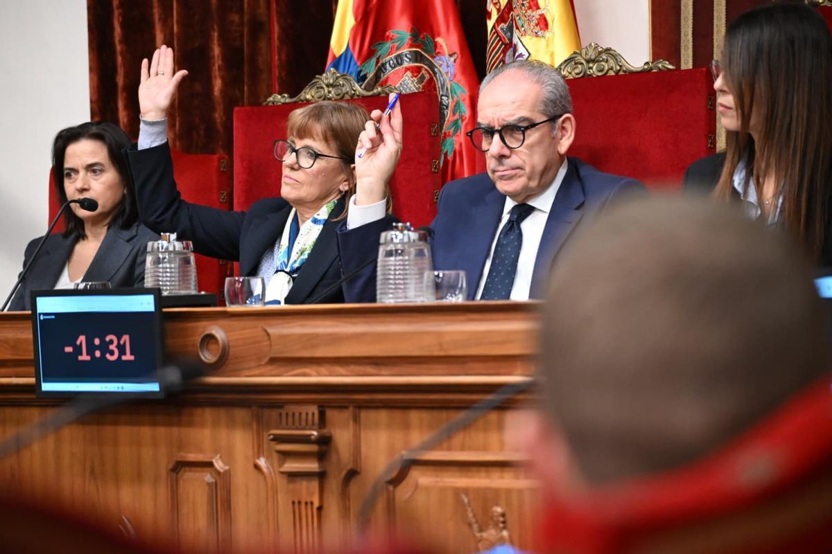 Francisco Soler, en una votación del pleno junto a Aurora Rodil
