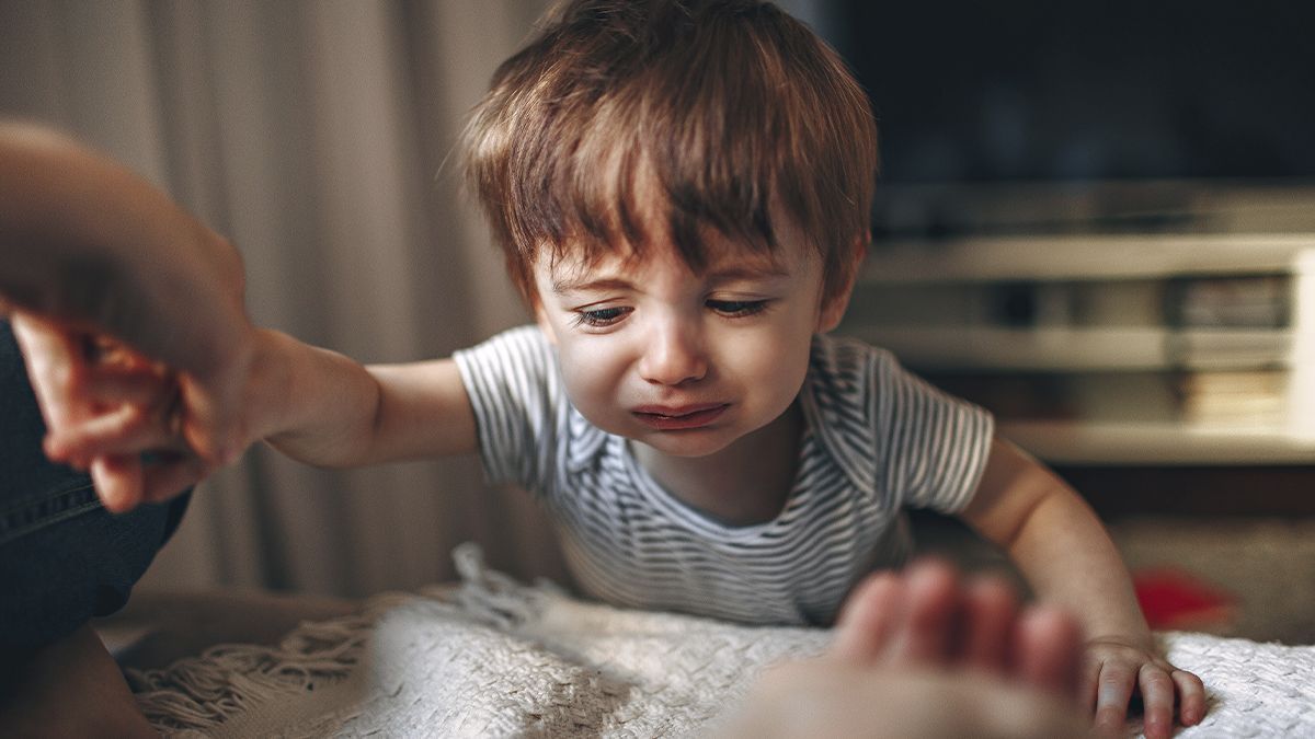 Las emociones se deben transitar, vivir, sentir