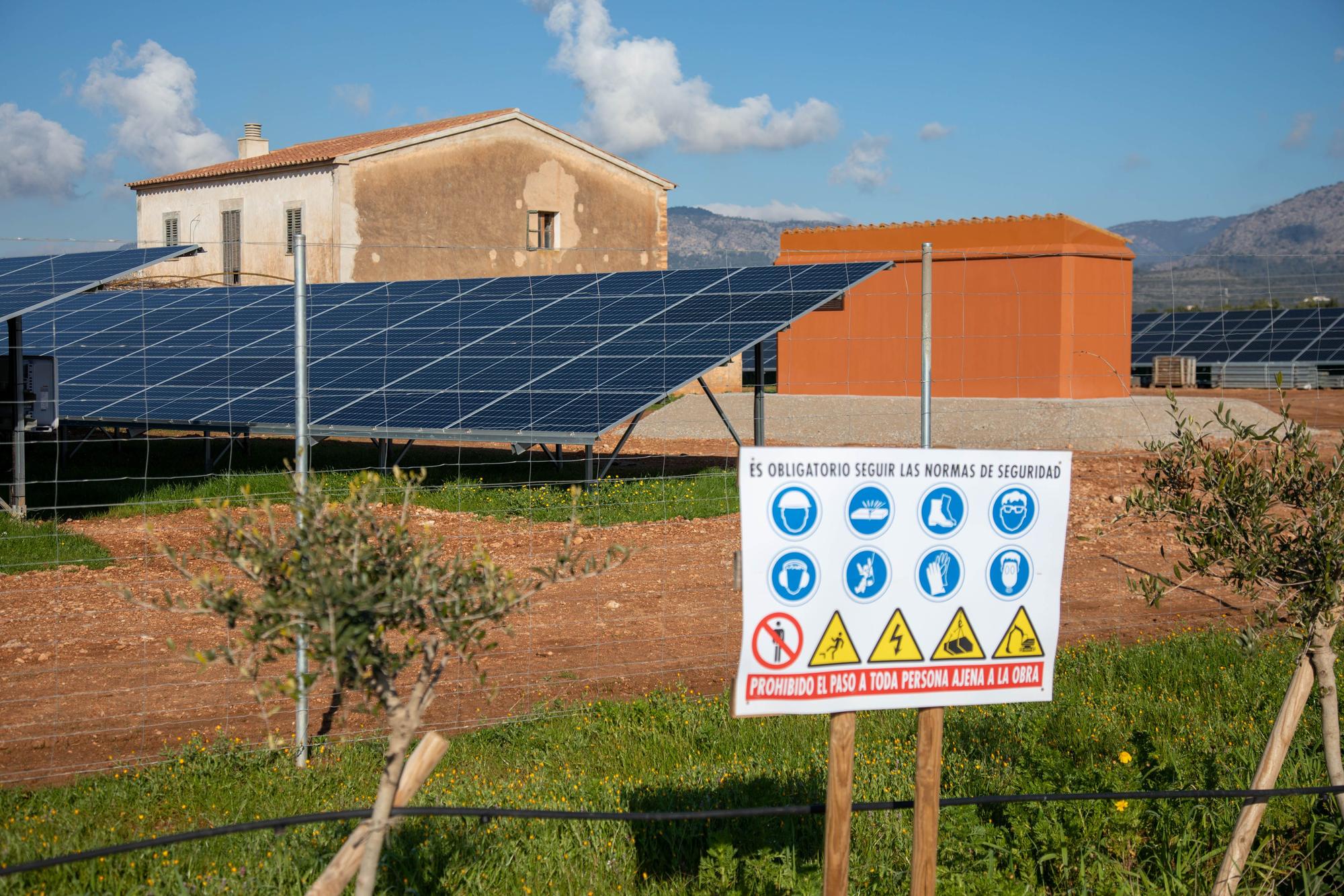 Agricultura en Mallorca: La conselleria prioriza que los parques fotovoltaicos se compensen con cultivos de más valor agrícola