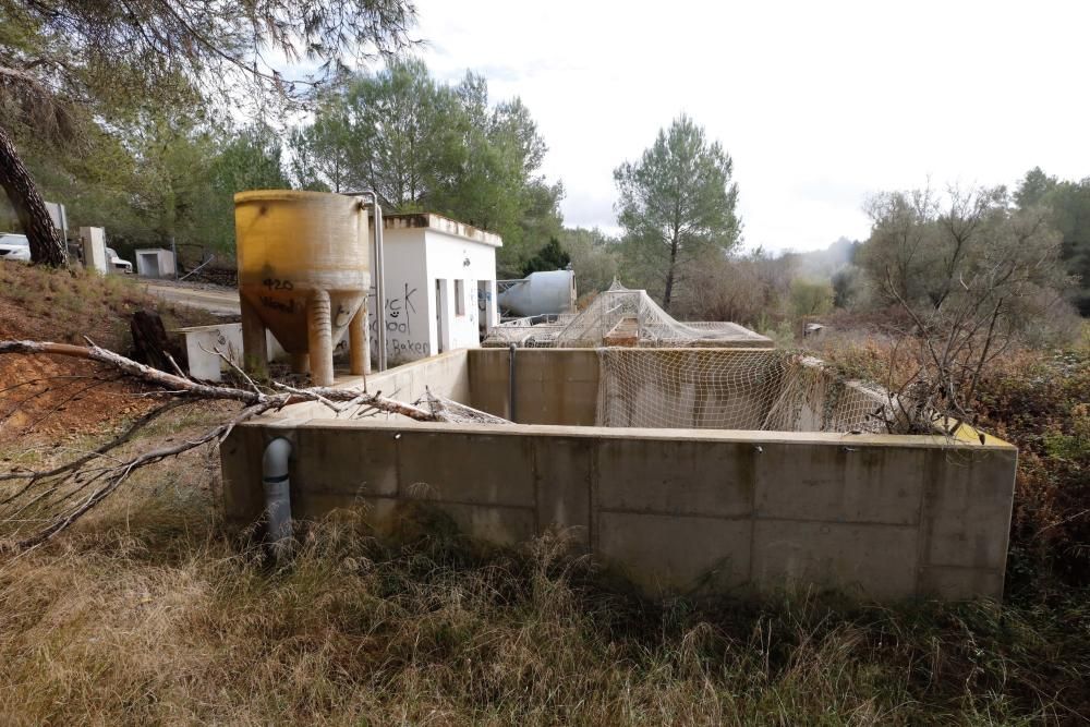 La fuente que alimentaba el canal de Fruitera y los huertos cercanos a Santa Gertrudis vuelve a estar a la vista