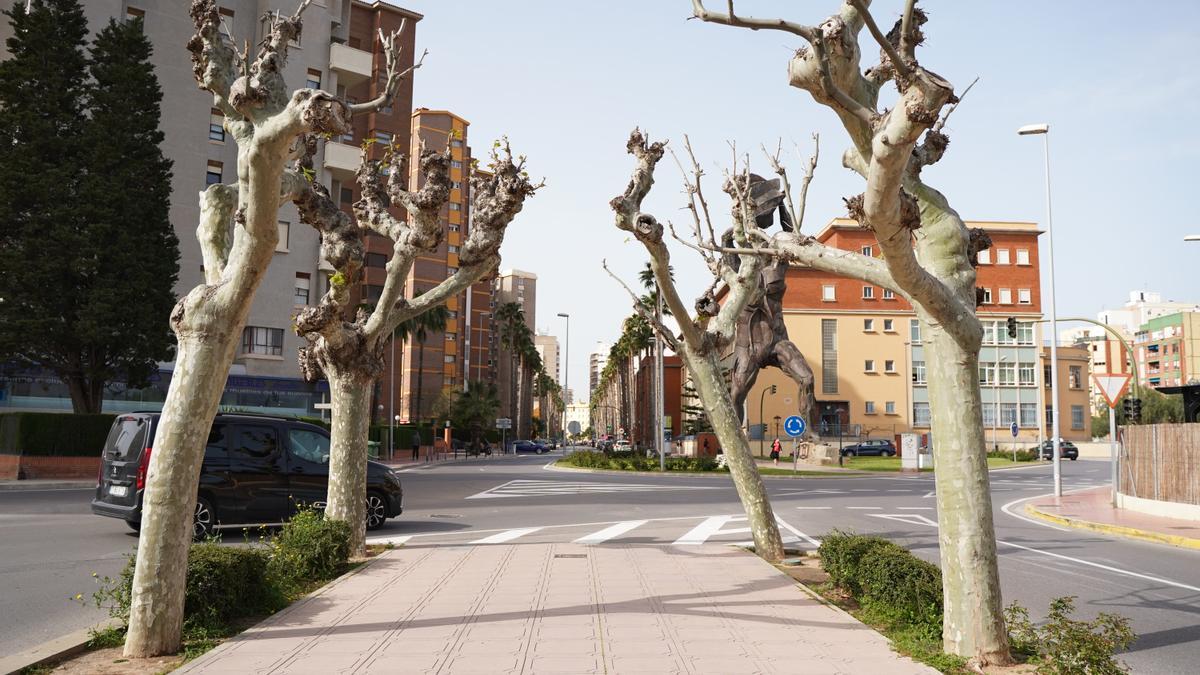 La cerámica tendrá un papel relevante en la remodelación de la avenida Lidón.