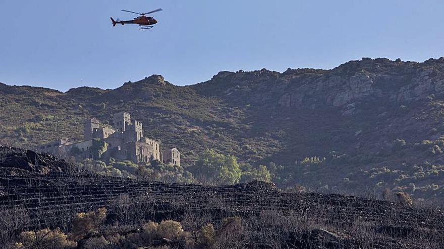 El foc ha deixat al descobert les antigues feixes de conreu | EDU MARTÍ