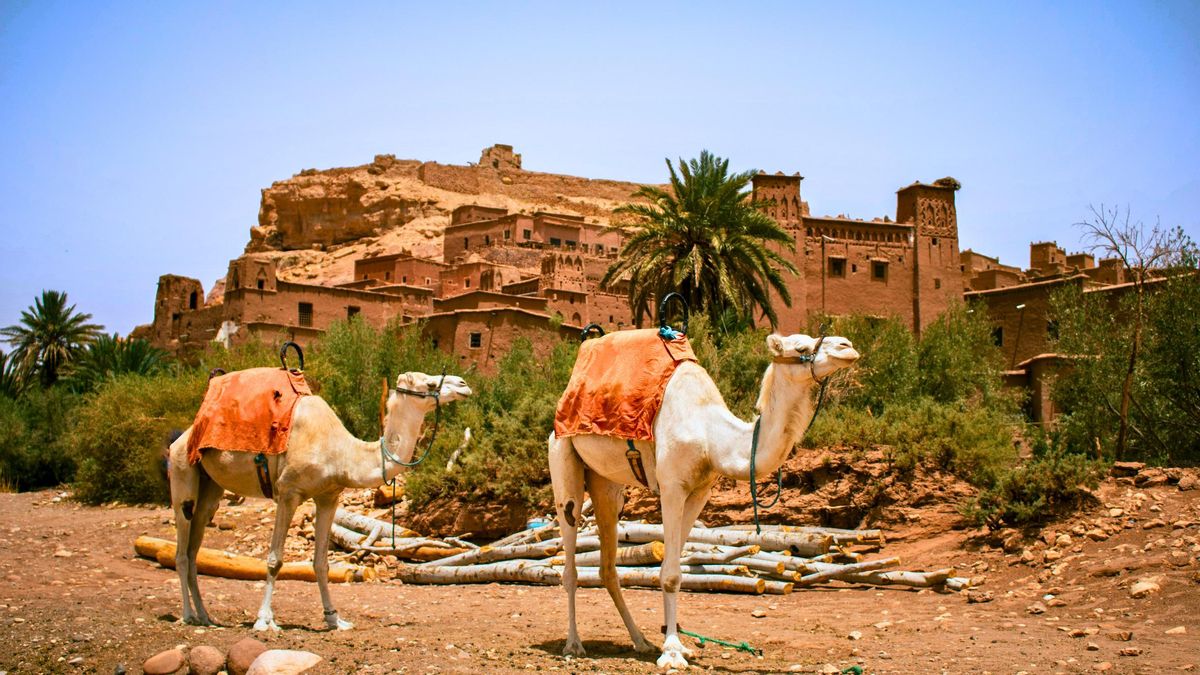 El Check-In semanal de Viajar: 8 imprescindibles del 4 al 10 de julio