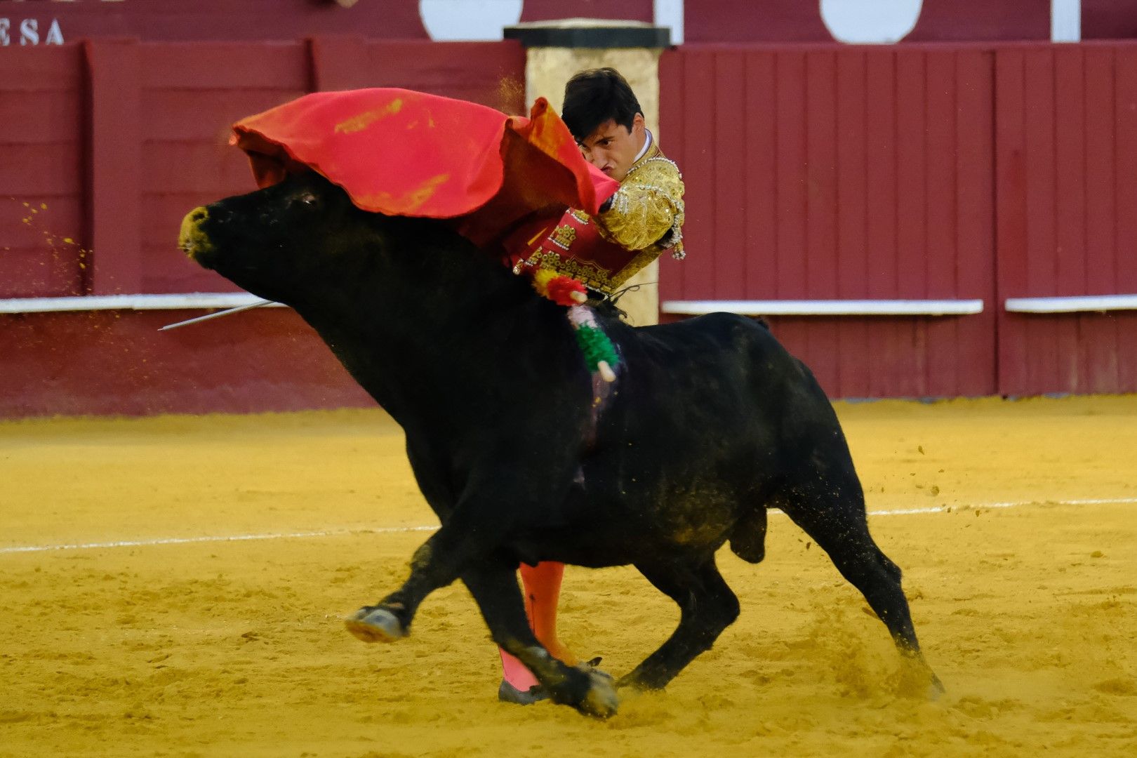 XVI Certamen Internacional de Escuelas Taurinas La Malagueta