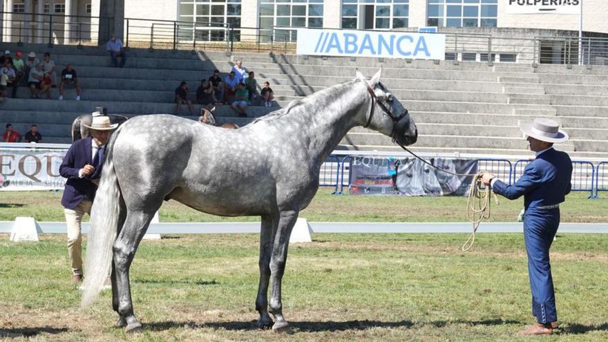 La Pura Raza Española acapara la jornada inaugural de Equina