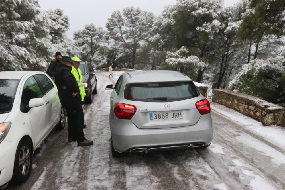 Nieve en Los Montes de Málaga