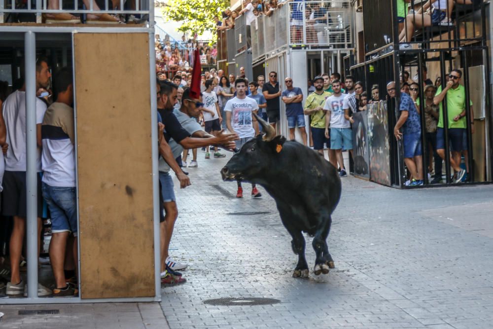 Fiestas de la Vaca de Castalla.