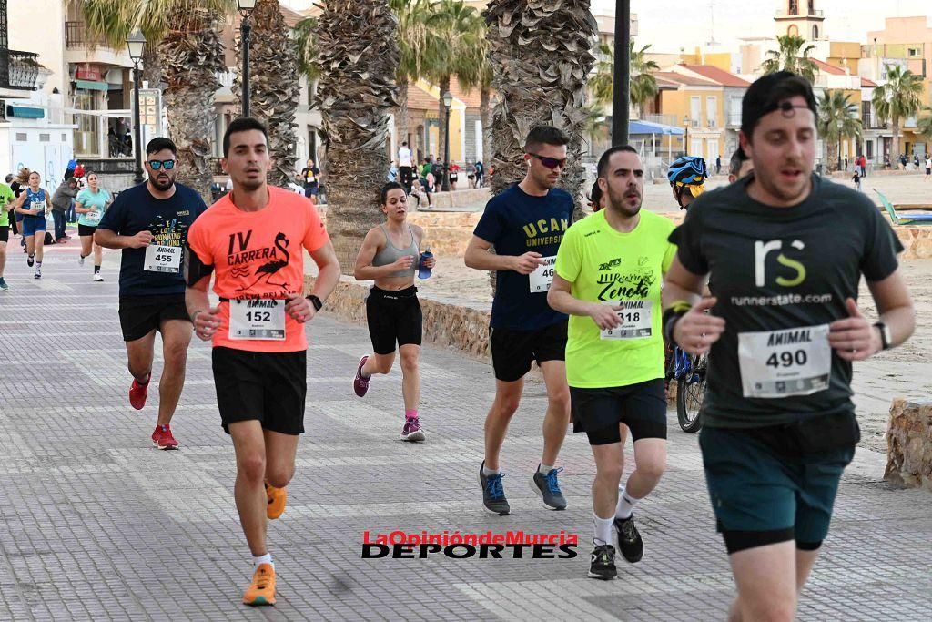 Carrera 5k Animal en Los Alcázares 2024 (II)