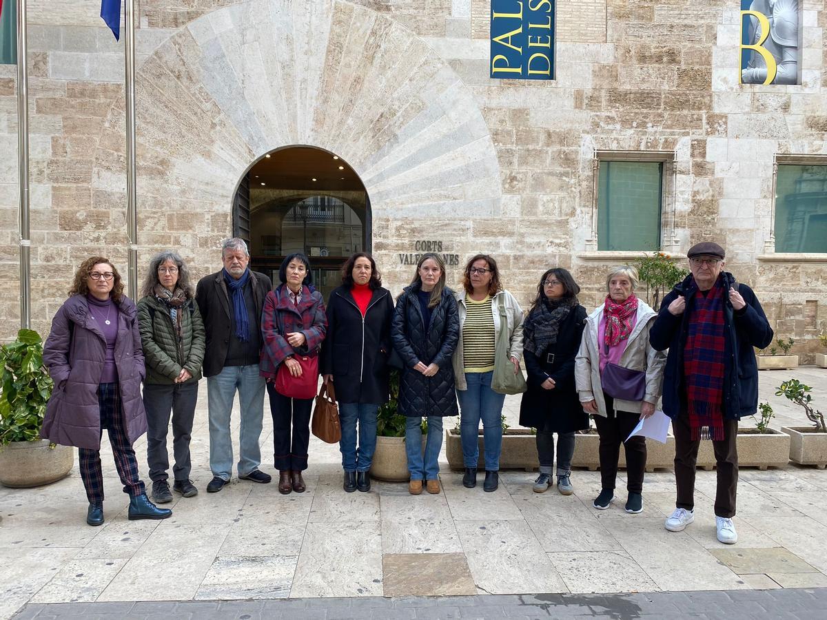 Els convocants de la manifestació i les associacions de víctimes de la dana davant de les Corts