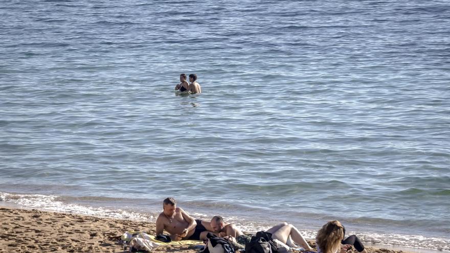 FOTOS | El buen tiempo y las altas temperaturas impropias de enero llenan las playas de Mallorca