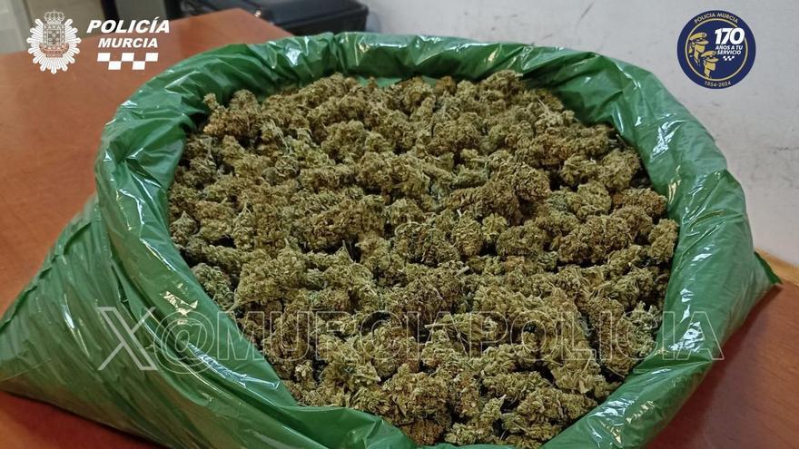 Los cogollos de marihuana incautados por la Policía local.