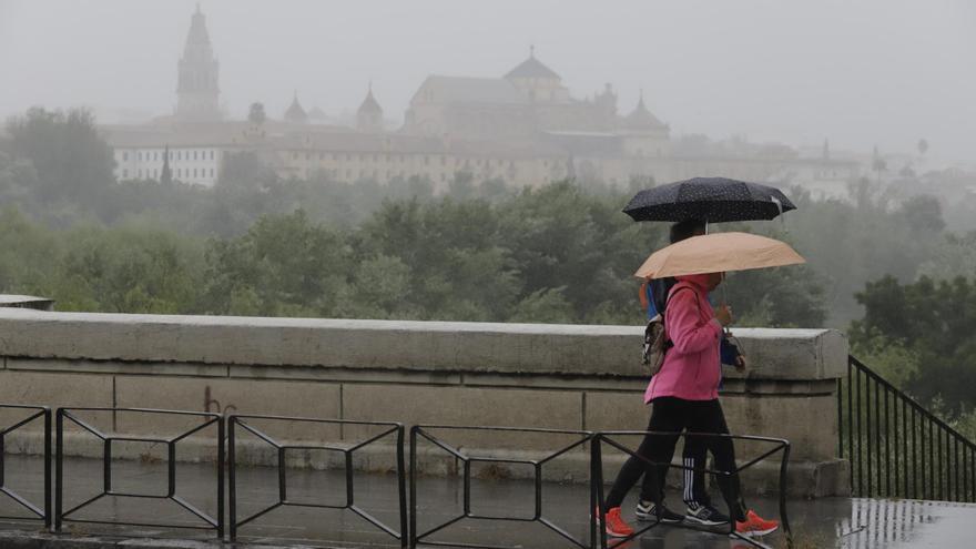 Los paraguas toman protagonismo en Córdoba: ¿hasta cuándo lloverá?