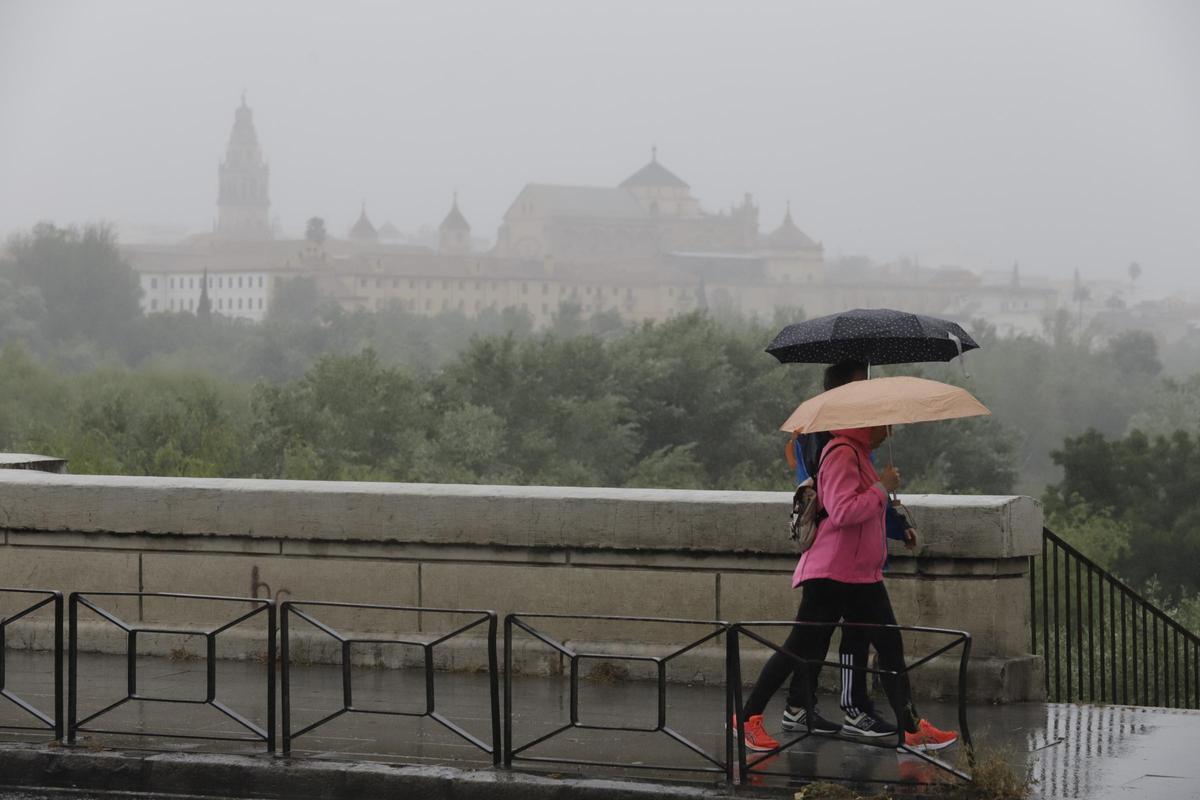 Varios peatones bajo la lluvia en Córdoba.