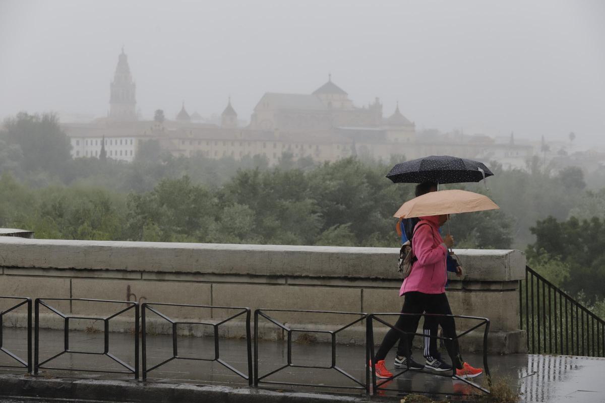 Varios peatones bajo la lluvia en Córdoba.
