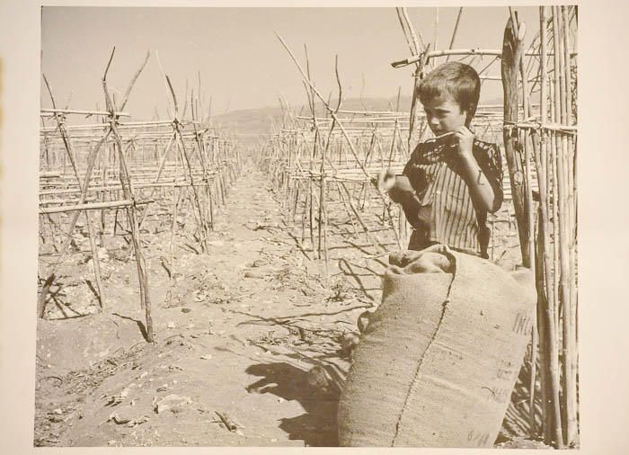 Exposición de Pedro Franco sobre Maspalomas