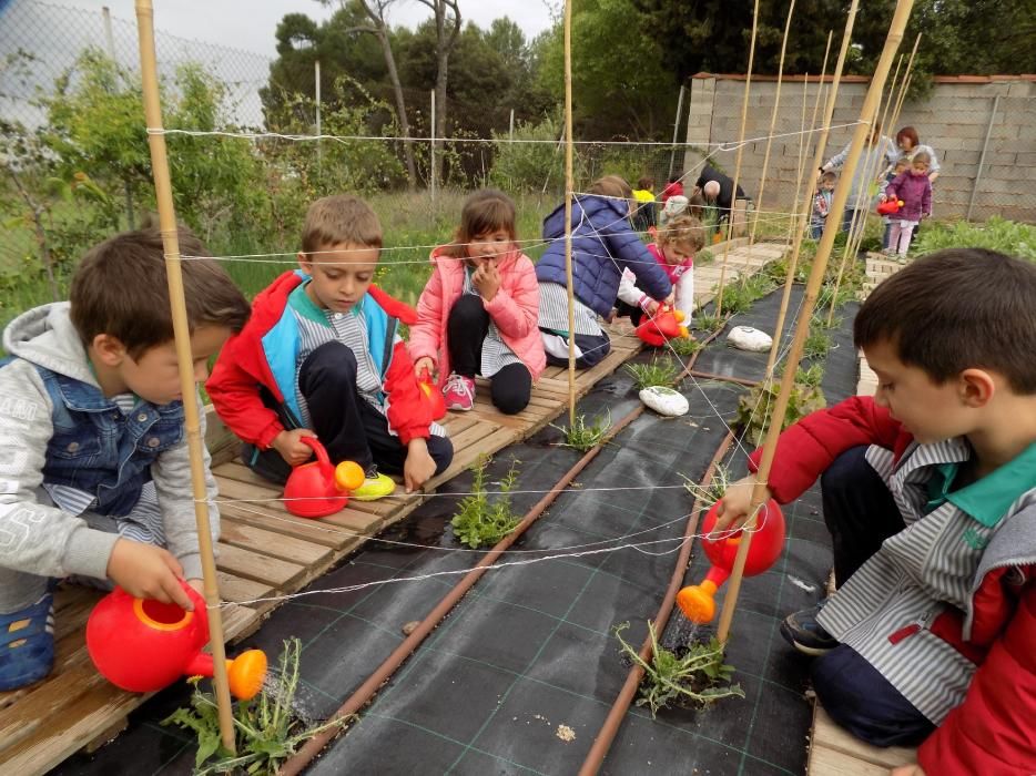 Un hort intergeneracional al pati de l'escola Paidos