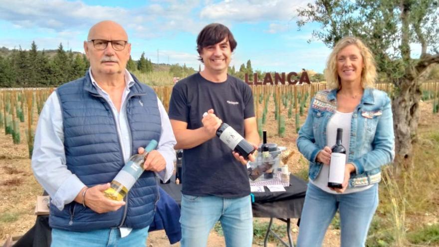 La tradició vinícola reneix a l’entrada de Llançà amb el projecte de vinya El Ximblar