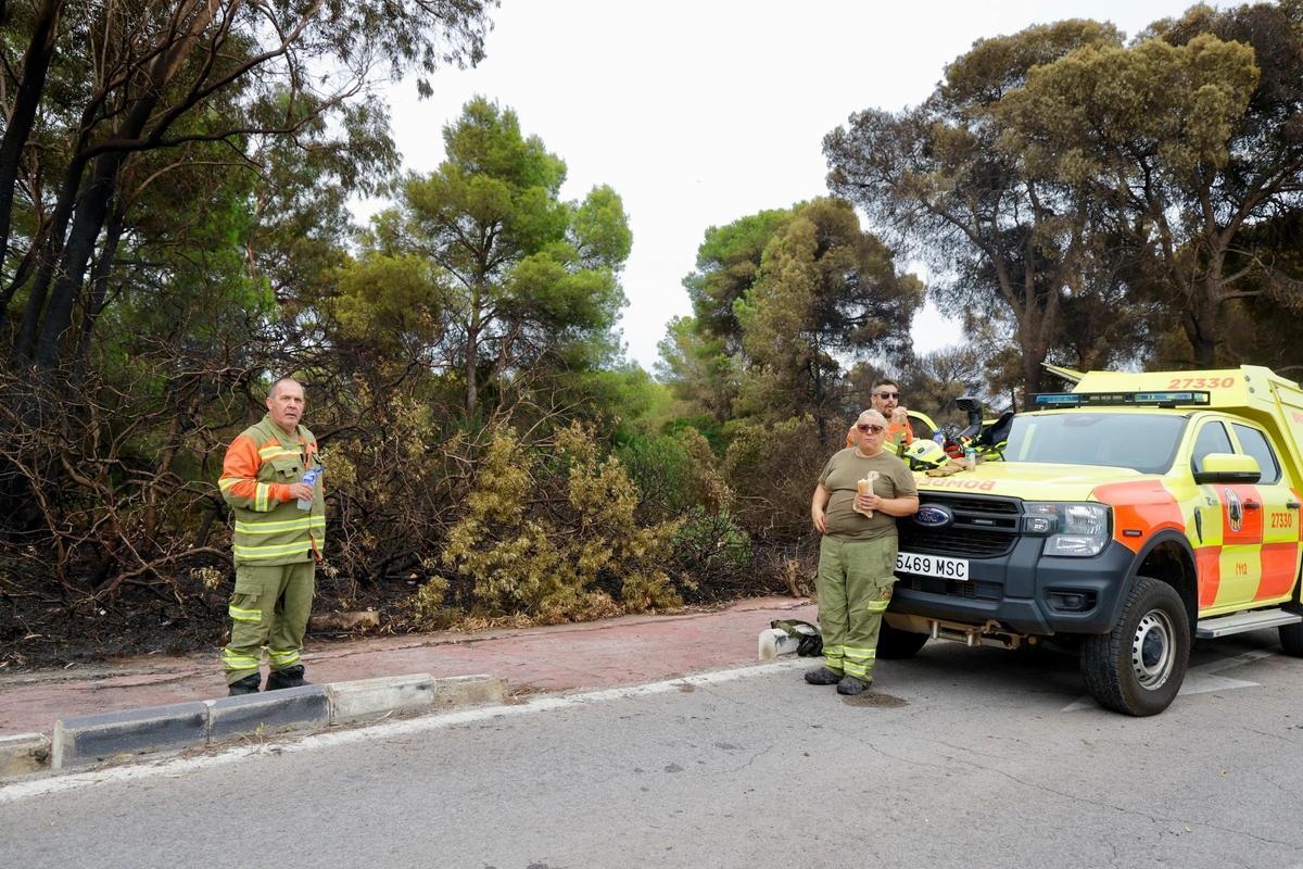 Las primeras imágenes del Saler tras el devastador incendio en la Devesa