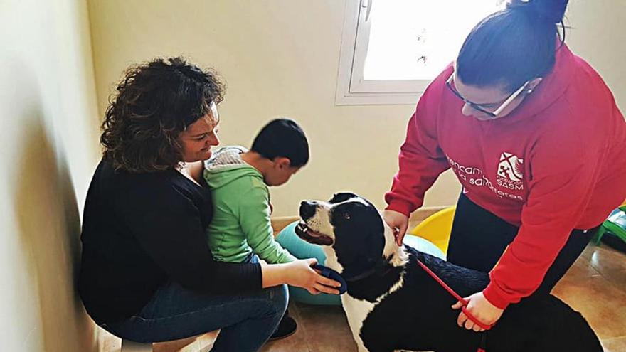 Terapia canina para niños en Llaurí