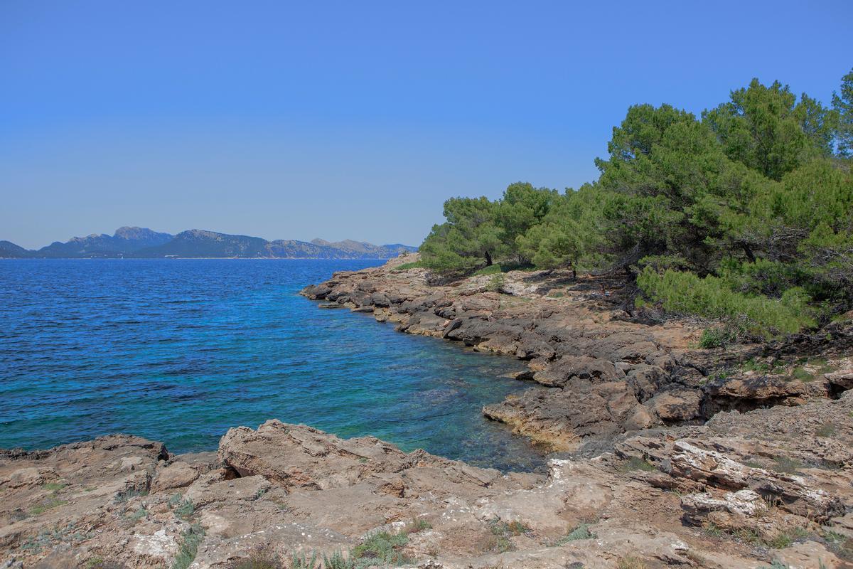 Mallorca ist ein Sehnsuchtsziel und lockt Reisende aus aller Welt. Sie hat mächtige Steilküsten, türkisblaue Buchten und herrliche Sandstrände.