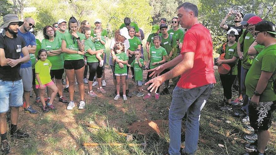 Iberdrola apuesta por el voluntariado social y ambiental