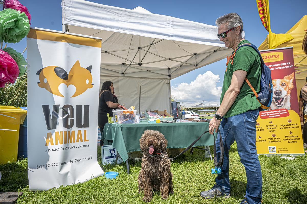 CAN WE RUN BARCELONA. La carrera organizada por Prensa Ibérica y El Periódico de Catalunya con la colaboración de Sport ,  donde las personas y sus mascotas perrunas corren en familia