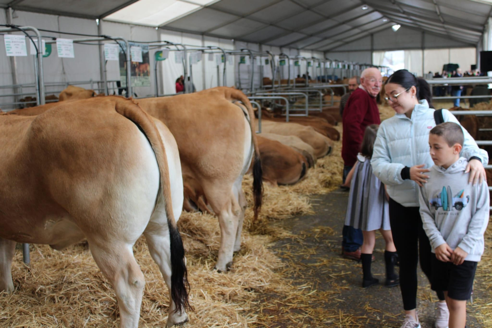 Así es Llangréu Nautral, la feria de las razas autóctonas asturianas que se celebra en pleno centro de Langreo