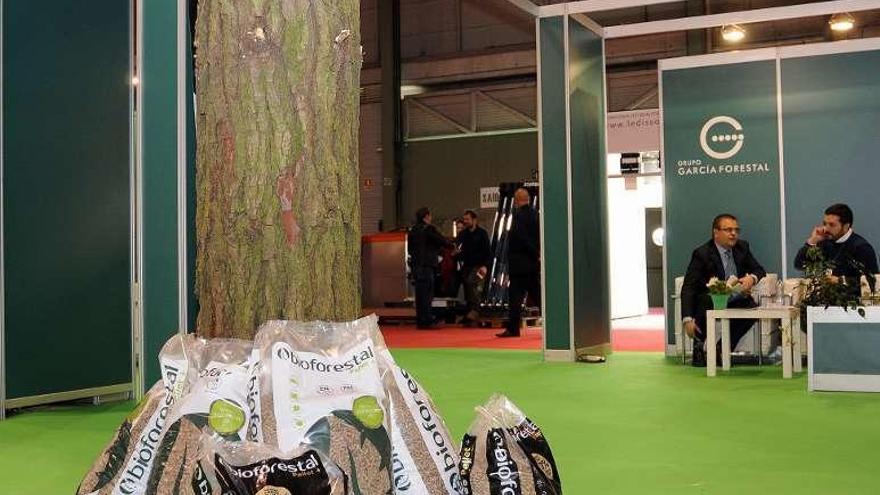 Un tronco luce en el estand de Biomasa Forestal. // Bernabé/Javier Lalín