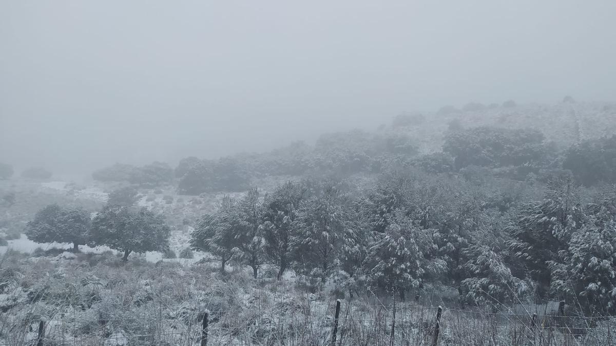 La nieve cubre la sierra de Baleares.