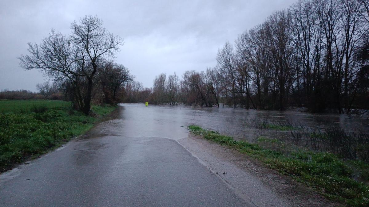 EN IMATGES | El Llobregat, afluent de la Muga, provoca inundacios a Peralada.
