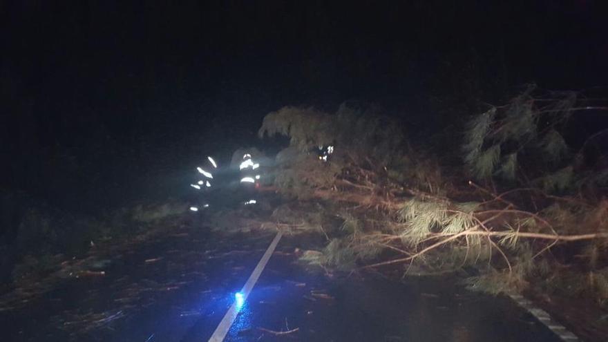 EL TRABAJO DELOS SERVICIOS DE EMERGENCIA