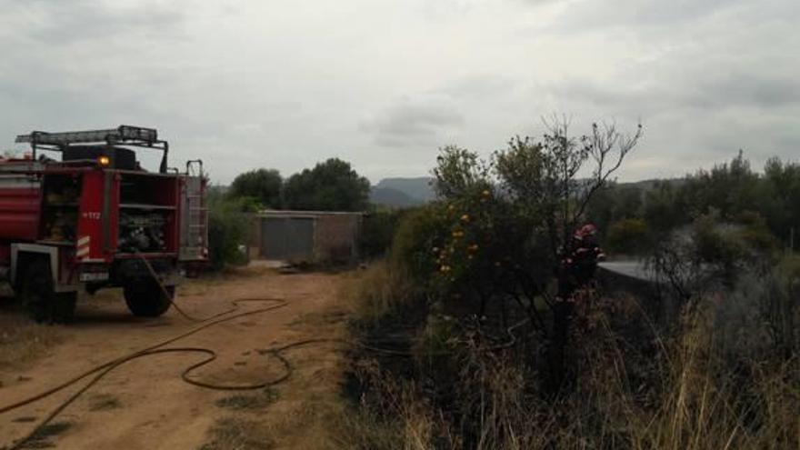 Incendios de cultivos en Onda y Almassora