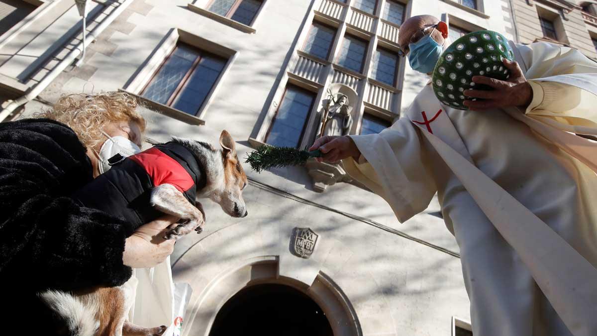 Un párroco bendice a una mascota en la tradicional cabalgata de Els Tres Tombs del barrio de Sant Antoni.