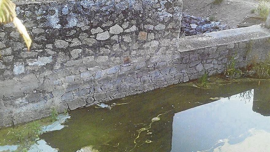 Vecinos de Proserpina en Mérida advierten de la presencia de verdín en las aguas