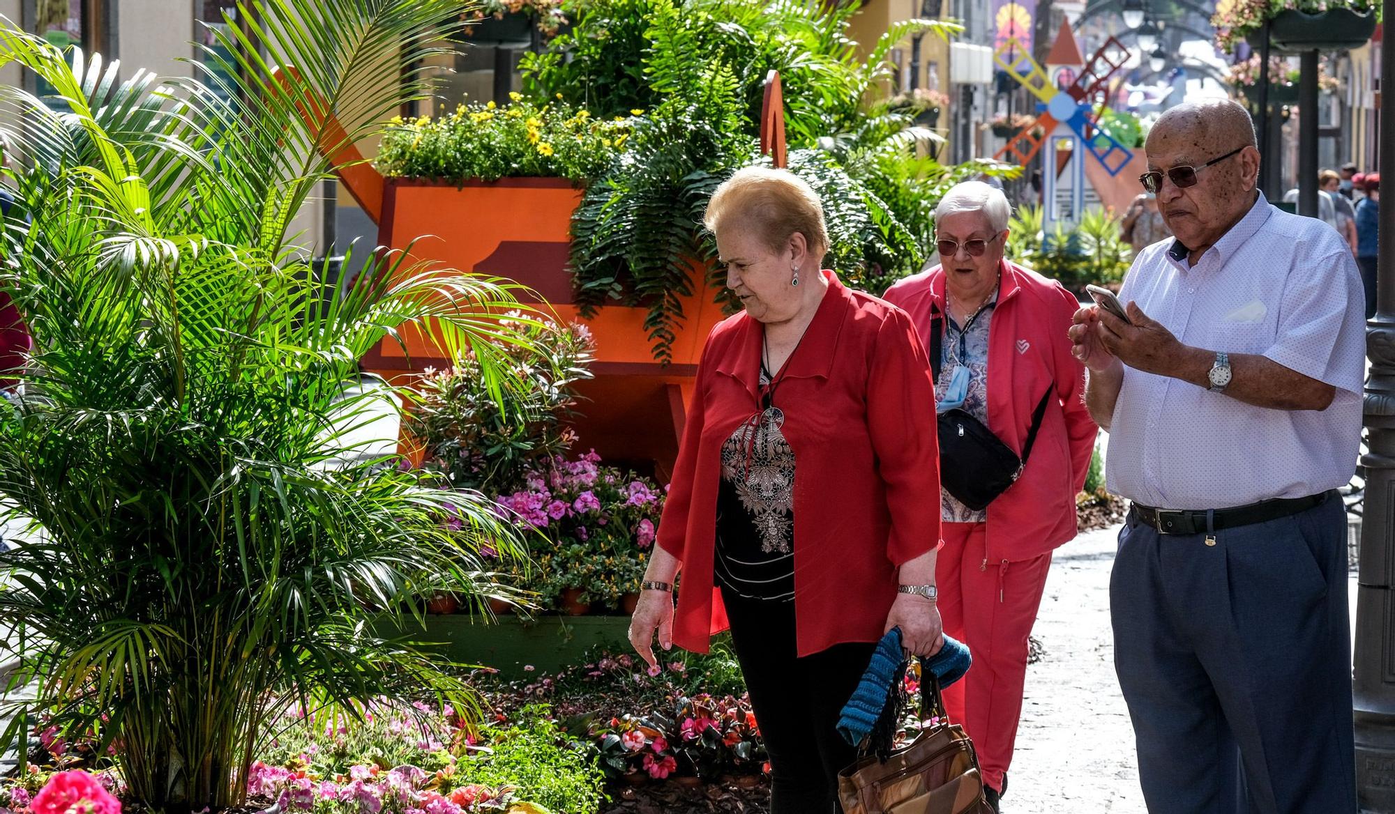 II Muestra 'Gáldar en Flor'