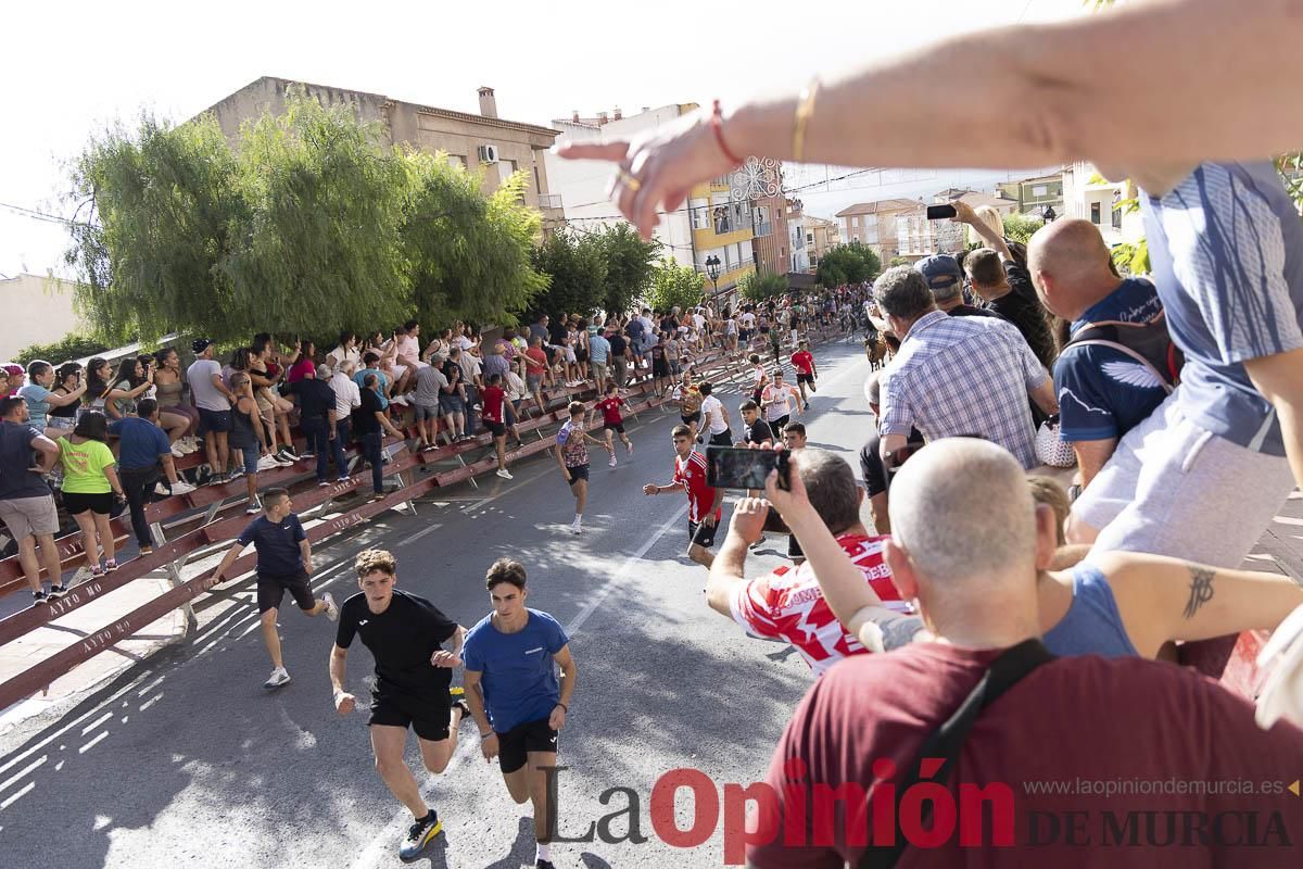 Primer encierro de las Fiestas de Moratalla